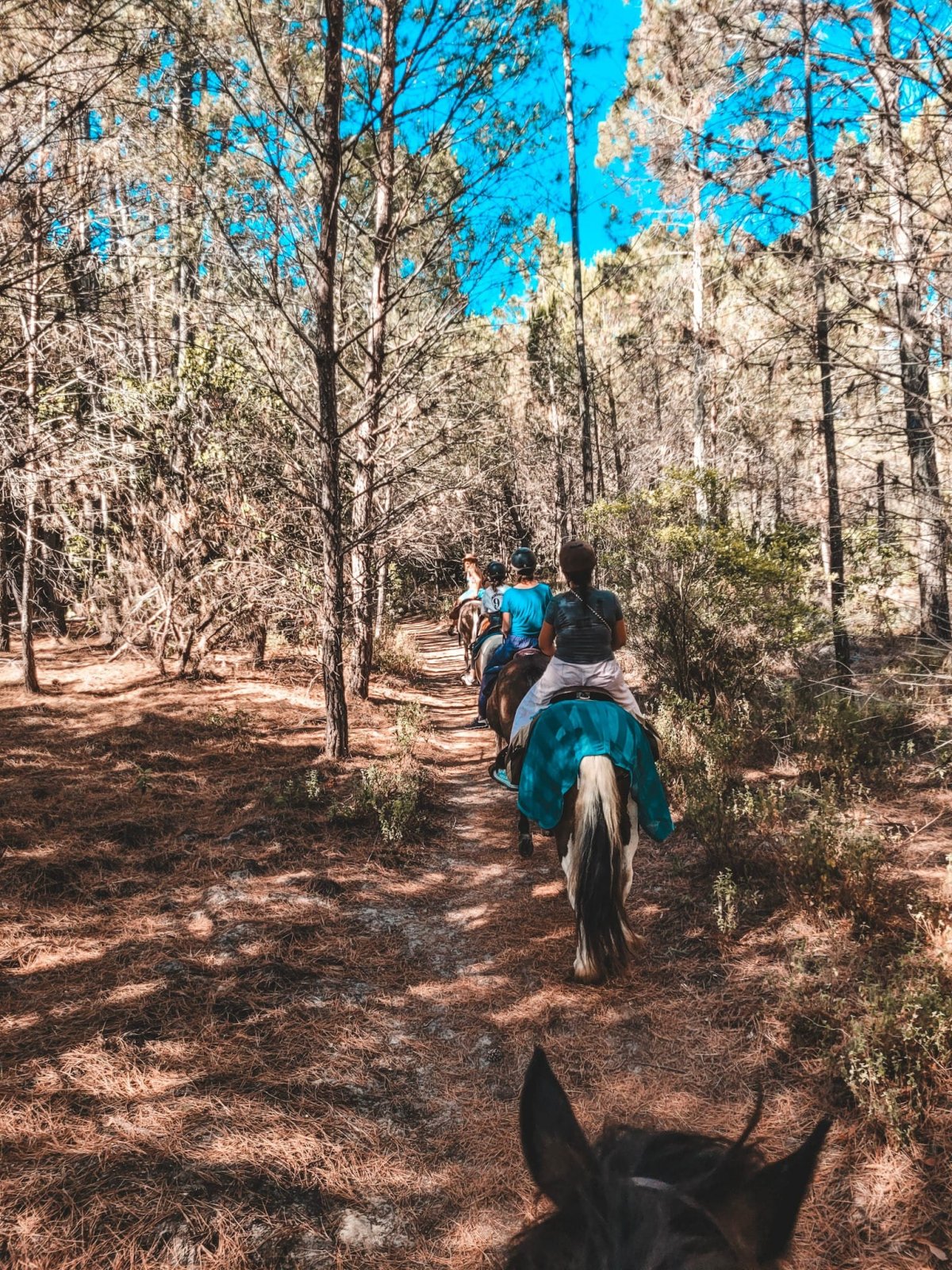 Balade cheval ghisonaccia Balade cheval ghisonaccia