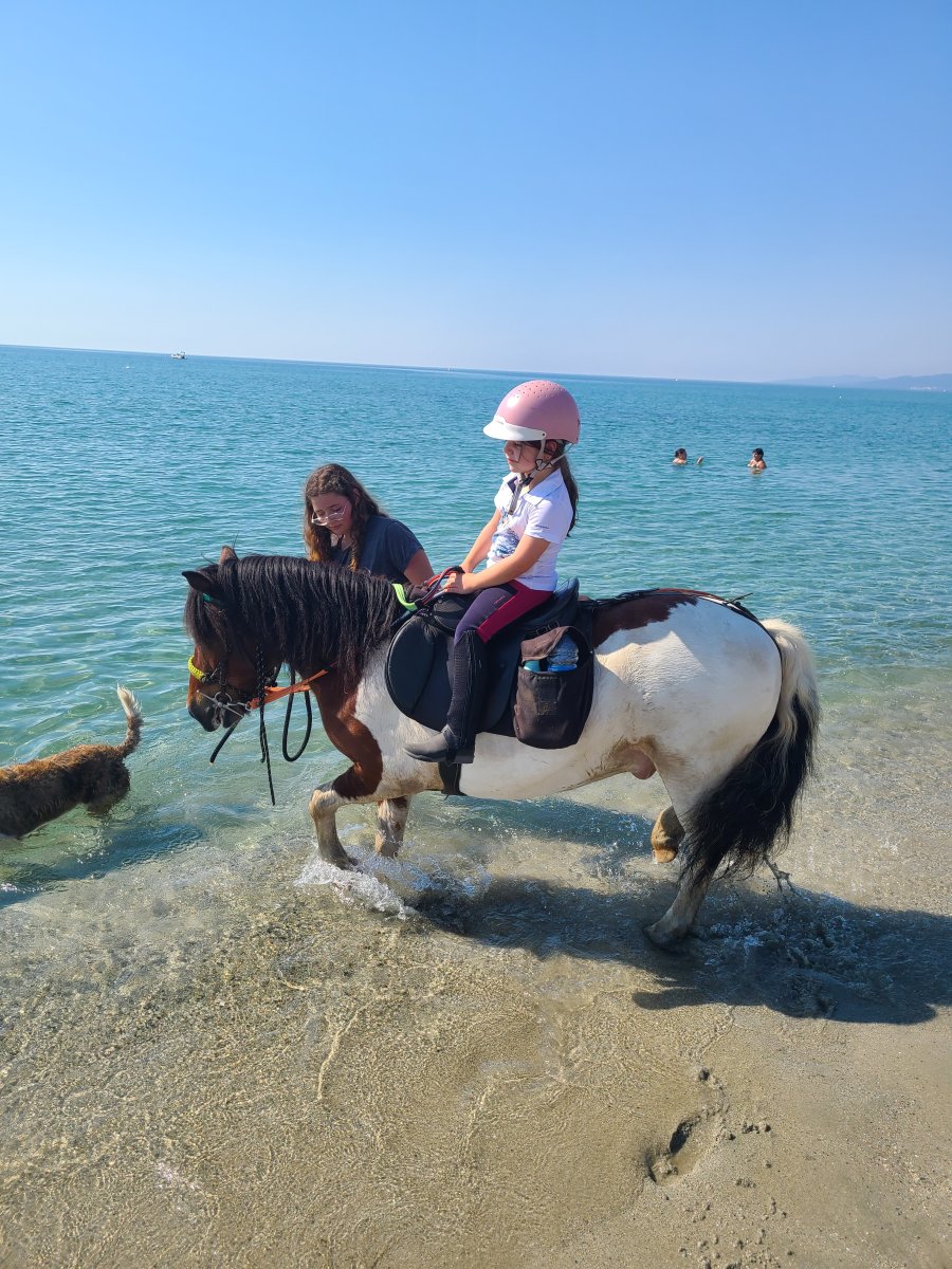 Balade poney ghisonaccia Balade poney ghisonaccia