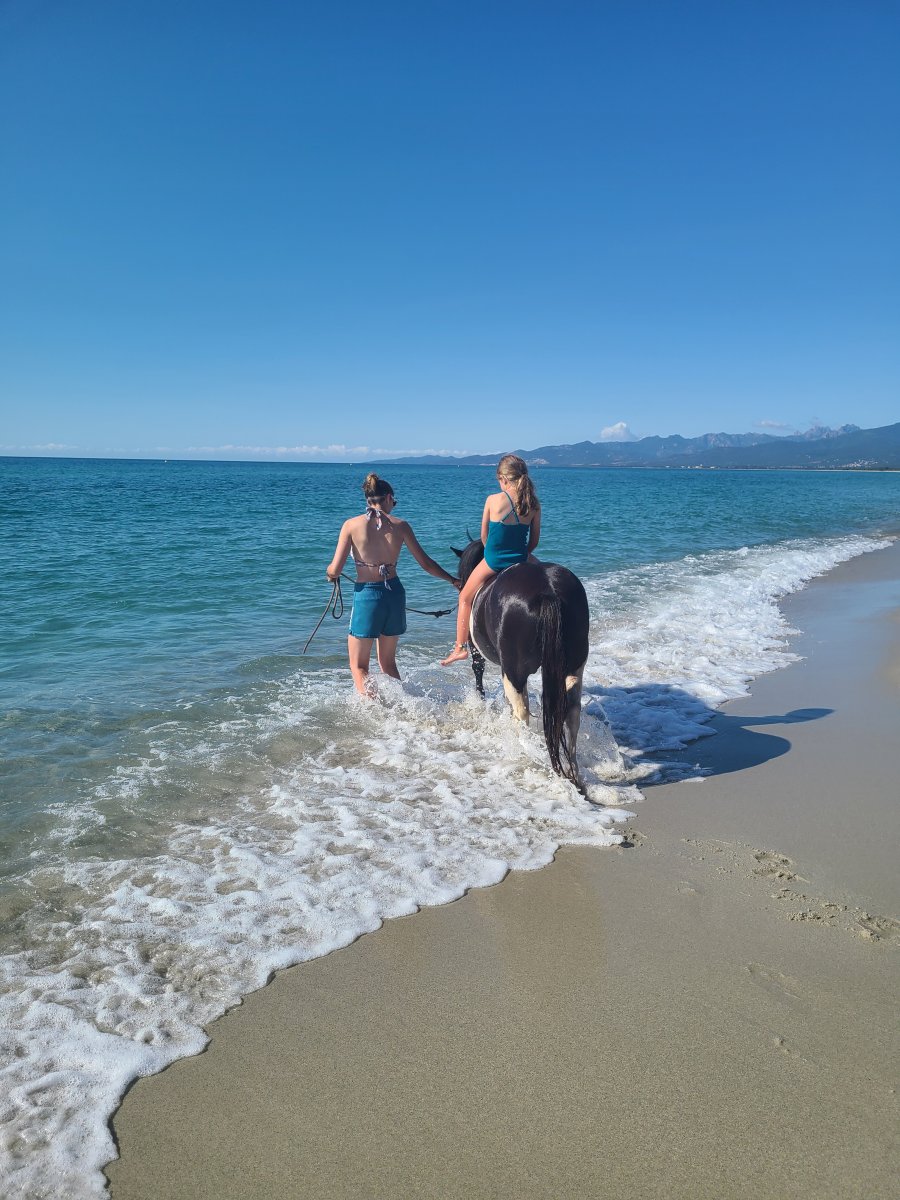 Balade poney ghisonaccia Balade poney ghisonaccia