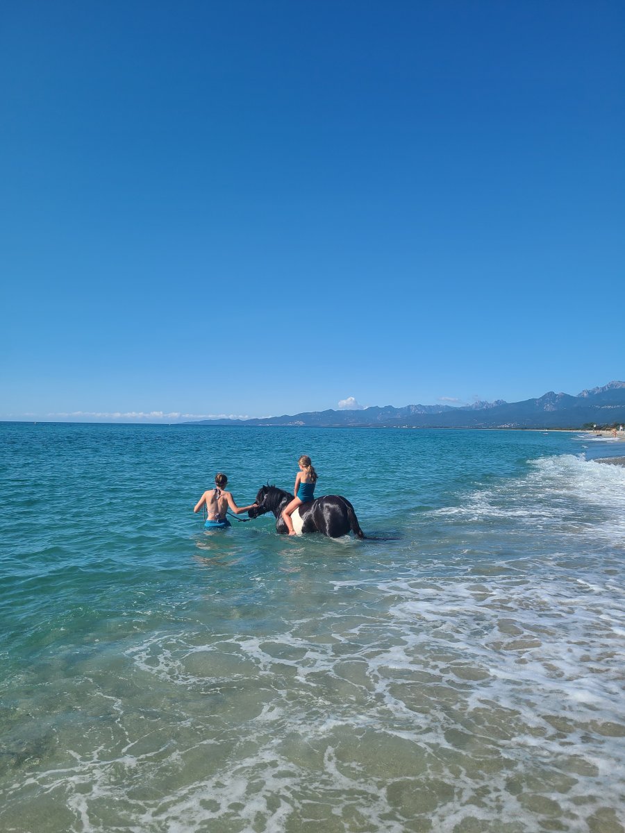 Balade poney ghisonaccia Balade poney ghisonaccia