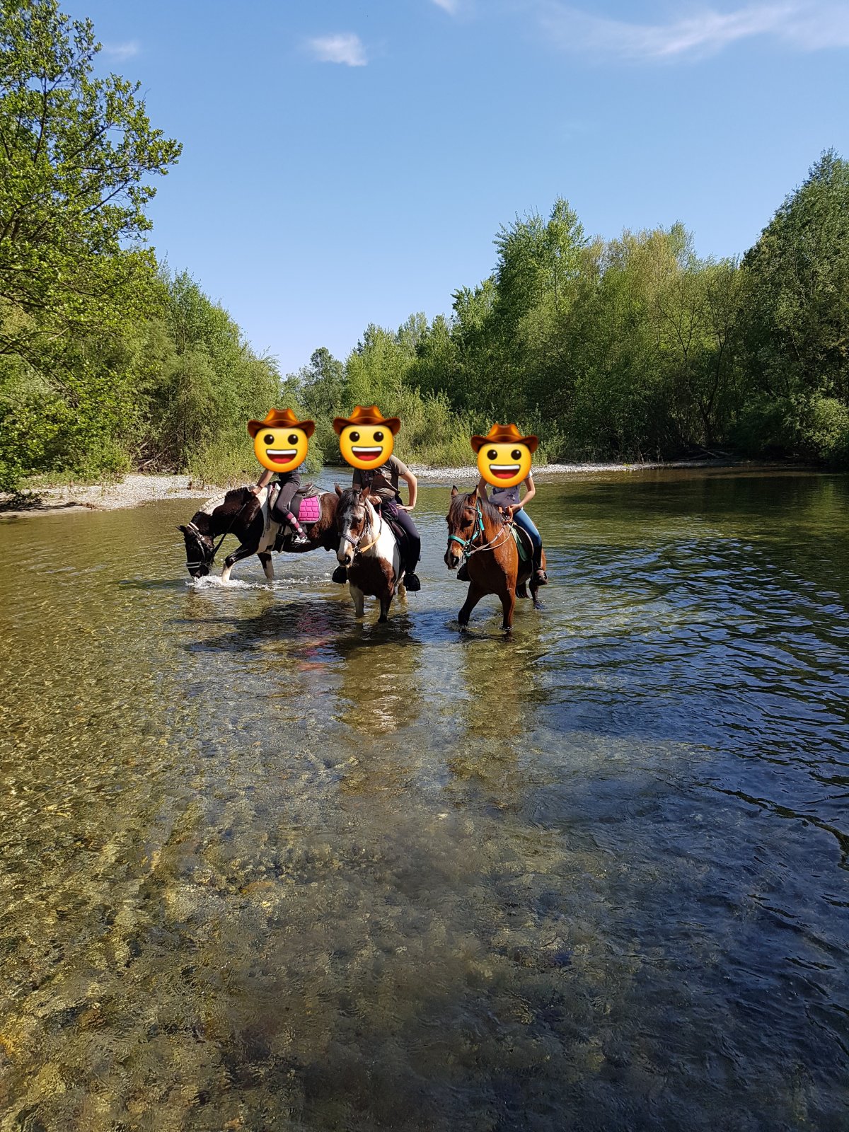 Balade cheval ghisonaccia Balade cheval ghisonaccia