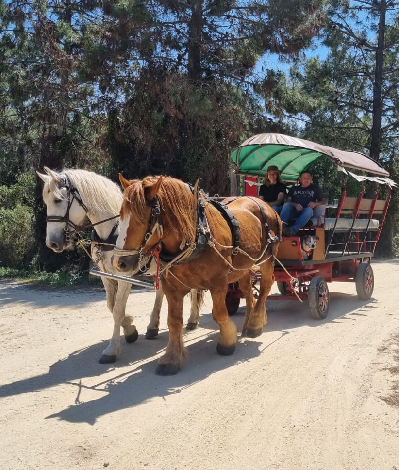 Balade caleche ghisonaccia Balade caleche ghisonaccia