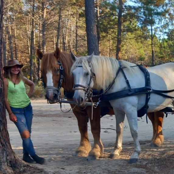 Balade caleche ghisonaccia Balade caleche ghisonaccia